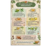 XGINERFEX Herbal Tea Gut Health Digestion Guide Poster Kitchen Wall Decor Wellness Art