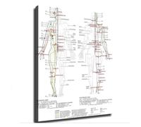 XGINERFEX Human Body Acupoint Meridian Chart Educational Anatomy Poster Canvas Wall-Art Print for Home Office Decor(Framed,12x18inch(30x45cm))