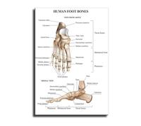 XGINERFEX Human Foot Anatomy Canvas Print Skeletal Muscles Chart Educational Wall Decor for Home Classroom(Framed,08x12inch(20x30cm))