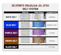 XGINERFEX Martial Arts Grappling Belt Rank Poster Brazilian Jiu Jitsu BJJ Progression Guide Educational Wall-Art for Academy Home Gym
