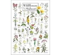 XGINERFEX Midwestern Prairie Wildflowers Framed Poster, Native Flower Species Wall-Art, Nature Lover Gift for Birthday, Teacher Appreciation, Home Office Decor(Unframed,08x12inch(20x30cm))