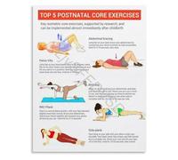 XGINERFEX Safe Postpartum Core Recovery Poster 5 Best Exercises for Moms After Birth Abdominal Guide Wall Decor(Unframed,12x18inch(30x45cm))
