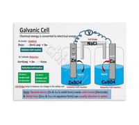 XGINERFEX Science Reference Poster Galvanic Cell Operation and Voltage Electrochemistry Chart for University Study Room Laboratory(Unframed,12x18inch(30x45cm))