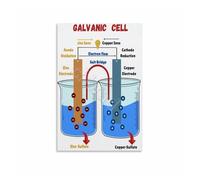 XGINERFEX Science Reference Poster Galvanic Cell Operation Electrochemistry Chart Canvas Wall-Art for College Study Room Laboratory(Framed,12x18inch(30x45cm))