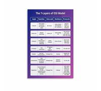 XGINERFEX Seven Layer OSI Reference Model Infographic Poster Canvas Wall-Art Computer Networking Cheat Sheet Chart IT Classroom Decor Tech Study Print Gift(Unframed,16X24inch(40X60cm))