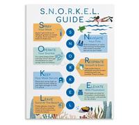 XGINERFEX Snorkeling Knowledge Guide Canvas Wall-Art for Diver Club Enthusiasts Living Room Bedroom Ocean Decor(Framed,16x24inch(40x60cm))