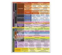 XGINERFEX Student Poster Antibiotic Classes Chart Pharmacology Educational Wall-Art for School Hospital Office Decor(Framed,12x18inch(30x45cm))
