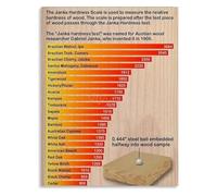XGINERFEX The Inner Strength of Wood A Guide to Hardness Grades Poster Canvas Wall-Art for Maker Space or Rustic Modern Living Room(Framed,12x18inch(30x45cm))