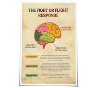 XGINERFEX Trauma Informed Brain Poster, Neuroscience Art Explaining Fight or Flight Response for Mental Health Awareness, Office Calming Decor(Framed,08x12inch(20x30cm))
