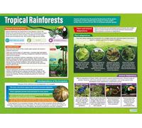 XGINERFEX Tropical Rainforests Deforestation Poster, Geography Classroom Decor on Causes Effects and Conservation for Environmental Science Teachers(Framed,12x18inch(30x45cm))