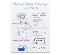 XGINERFEX Ultimate Educational Support for Pumping Moms Lactation Reference Poster and Breast Milk Storage Chart Gift(Unframed,16x24inch(40x60cm))