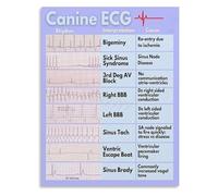 XGINERFEX Vet Tech Gift ECG Educational Canvas Wall-Art Animal Heart Rhythm Chart for Veterinary Office Decor(Framed,12x18inch(30x45cm))