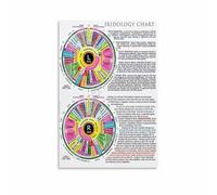 XGINERFEX Vintage Iridology Poster - Eye Iris Analysis Chart & Guide, Educational Wall-Art for Office, Study Room, and Home Decor(Framed,12x18inch(30x45cm))
