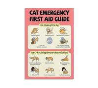 XGINERFEX Visual Guide to Cat First Aid Choking CPR Canvas Print Wall-Art for Veterinary Training Room(Framed,08x12inch(20x30cm))
