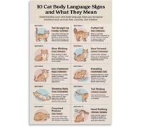 XGINERFEX What Your Cats Body Language Means Signs Guide Poster Canvas Painting Wall-Art for Bedroom Living Room Decor(Framed,16x24inch(40x60cm))