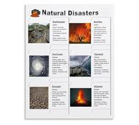 XGINERFEX World Disasters Poster Science Learning Chart Canvas Art Print for Homeschool Decor(Unframed,16x24inch(40x60cm))
