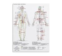 XGINERFEX Yin Yang Five Elements Meridian Chart Traditional Chinese Medicine Body Flow Wall Decor(Framed,16x24inch(40x60cm))