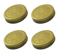 XGNG Lot de 6 couvercles d'alimentation en métal pour ruche d'abeilles, mangeoire d'entrée, couvercles de bocaux Mason perforés, équipement d'arrosage portable pour l'apiculture