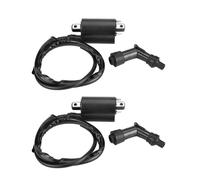 Xgupxuc Module D'allumage Boîtier CDI pour Suzuki pour VS1400GLP pour Intruder 1400 1987-2004 2 Pièces Bobine D'allumage Avant Et Arrière De Moto