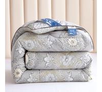 XHCTNN Couette en Soie pour Lit King Size, Noyau de Couette 100% Soie de MûRier - Couette Nourrissante pour l'hiver Lisse Ne Se DéColore Pas Parure de Lit MatelasséE de Luxe(H,220 * 240cm/3kg)