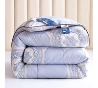 XHCTNN Couette en Soie pour Lit King Size, Noyau de Couette 100% Soie de MûRier - Couette Nourrissante pour l'hiver Lisse Ne Se DéColore Pas Parure de Lit MatelasséE de Luxe(C,220 * 240cm/4kg)