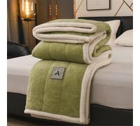 XHDZSW Couverture Polaire Sherpa Throw, Ultra Doux Moelleuse Couverture Double Face en Sherpa, Grande Couverture Épaisse Réversible pour Lit Et Canapé (Vert,150x200cm)