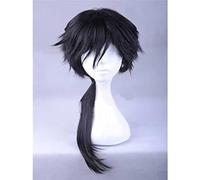 XHSDOZD Perruque Cosplay Anime，Touken Ranbu Online Mutsunokami Yoshiyuki Perruque，Black Long Perruque，avec Filet de Cheveux Gratuit，pour Fête Carnaval Halloween Perruques