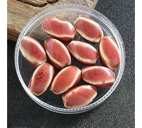 XHYXWN Lot de 20 à 100 Perles irrégulières en Porcelaine de 16 mm, Perles intercalaires en céramique émaillée de Couleur rétro, pour la Fabrication Artisanale de Bracelets et de Colliers en Perles