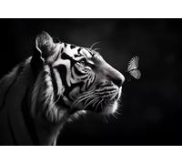 XIANGPEIFBH Affiches d'animaux modernes en noir et blanc, art mural, toile, tigre, papillon, images décoratives pour salon, décoration d'intérieur 50x70cm