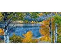 XIANGPEIFBH Affiches sur toile représentant un paysage lacustre avec des arbres et un lac, un décor naturel nordique, pour la décoration murale du salon ou de la maison (65x130cm/sans cadre)