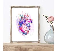 XIANGPEIFBH Art de Coeur Humain Affiches et Impressions Anatomie médicale Art Mural Peinture Aquarelle Médecine Image Médecins Bureau Décor 20x25cm (8 "x10) sans Cadre