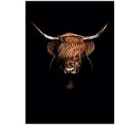 XIANGPEIFBH Impressions sur Toile Wall Art Noir et Blanc Vache des Highlands Peinture Abstraite Vache hirsute Animaux Bull Imprimable Affiche encadrée décor 60x80 cm (23,6 "x31,5) avec Cadre