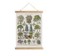 XIAOAIKA Affiche Botanique Vintage de Jardin - Poster Rétro des Arbres et Plantes avec Cadre en Bois, Décoration Murale Élégante pour Intérieur, Style Classique Français, 40 x 58 cm