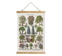 XIAOAIKA Affiche Botanique Vintage de Jardin - Poster Rétro des Arbres et Plantes avec Cadre en Bois, Décoration Murale Élégante pour Intérieur, Style Classique Français, 30 x 40 cm