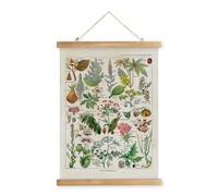 XIAOAIKA Affiche Botanique Vintage 'Plantes Dangereuses' - Poster Illustratif avec Cadre en Bois, Décoration Murale Élégante pour les Amateurs de Nature, 40 x 58 cm