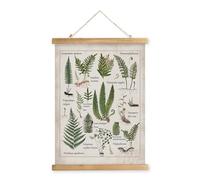 XIAOAIKA Affiche Illustrative de Fougères Vintage - Poster Décoratif Botanique avec Cadre en Bois, Art Mural Élégant pour Intérieurs et Collectionneurs, 40 x 58 cm