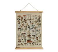 XIAOAIKA Affiche Vintage de Champignons avec Cadre en Bois, Peinture Artistique de Décoration Murale de Style Rétro, Motifs Imprimés sur Toile sans Décoloration, Prête à Être Accrochée (40x58cm)