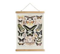 XIAOAIKA Affiche Vintage de Papillons avec Cadre en Bois, Décoration Murale de Style Rétro Peinture Artistique, Motifs Imprimés sur Toile sans Décoloration, Prête à Suspendre (40x58cm)