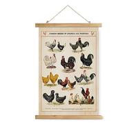 XIAOAIKA Affiche Vintage des Races de Poules - Poster Éducatif avec Cadre en Bois, Décoration Murale Idéale pour les Amoureux de la Bassecour, 30 x 40 cm