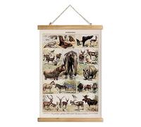 XIAOAIKA Carte animalière illustrée vintage avec cadre en bois - Poster classique des mammifères du monde - Art mural éducatif pour les écoles, les maisons et les bureaux - 50 x 75 cm