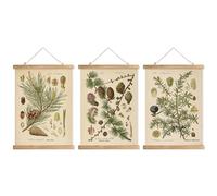 XIAOAIKA Cottagecore Lot de 3 cadres à suspendre vintage en forme de noix de pin - Décoration murale de style rétro - Les motifs sont imprimés sur du lin sans se décolorer (30 x 40 cm)
