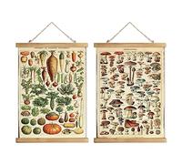 XIAOAIKA Lot de 2 affiches vintage de légumes et champignons avec cadre en bois - Décoration de chambre Cottagecore - Art mural classique pour la maison et la salle de classe 40 x 58 cm
