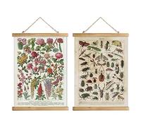 XIAOAIKA Lot de 2 affiches vintage : fleurs du jardin botanique et espèces d'insectes - Graphiques éducatifs illustrés avec cadres en bois pour les amateurs de la nature, décoration d'intérieur