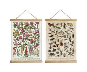 XIAOAIKA Lot de 2 affiches vintage : fleurs du jardin botanique et espèces d'insectes - Graphiques éducatifs illustrés avec cadres en bois pour les amateurs de la nature, décoration d'intérieur