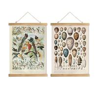 XIAOAIKA Lot de 2 affiches vintage nature : espèces d'oiseaux et œufs - Graphiques éducatifs illustrés avec cadres en bois pour ornithologues, observateurs d'oiseaux et amateurs de la nature - 40,6 x