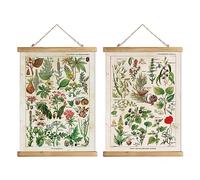 XIAOAIKA Lot de 2 cadres à suspendre pour affiches de plantes vintage Cottagecore - Décoration murale de style rétro - Les motifs sont imprimés sur du lin sans décoloration (40 x 58 cm)