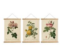 XIAOAIKA Lot de 3 cadres à suspendre pour affiches de style rétro - Motif roses - 30 x 40 cm