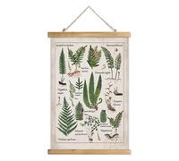 XIAOAIKA Poster Botanical Fern Varieties - Guide illustré vintage avec cadre en bois - Décoration murale éducative pour la maison, le bureau ou la salle de classe - 50 x 75 cm