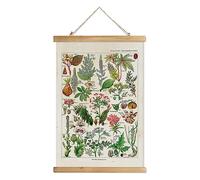 XIAOAIKA Poster botanique vintage à suspendre avec cadre en bois, décoration murale de style rétro, motifs imprimés sur lin sans décoloration, prêt à accrocher (50 x 75 cm)