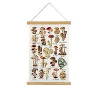XIAOAIKA Poster champignon : HD coloré de style rustique à suspendre, affiche illustrative de référence avec cadre en bois pour salon, bureau, chambre à coucher, décoration esthétique :